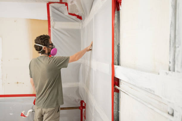 Best Basement Mold Removal  in Paradise, NV