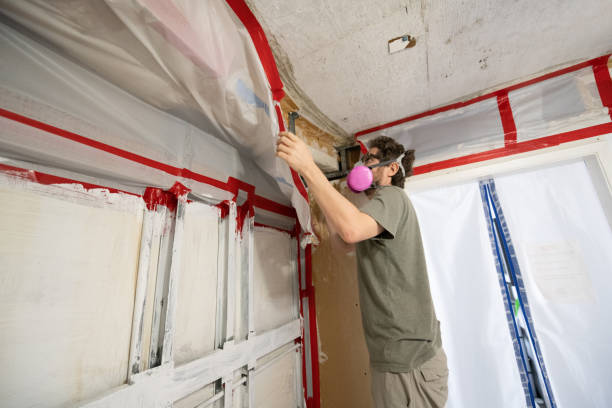 Best Mold-Related Health Consultation  in Paradise, NV