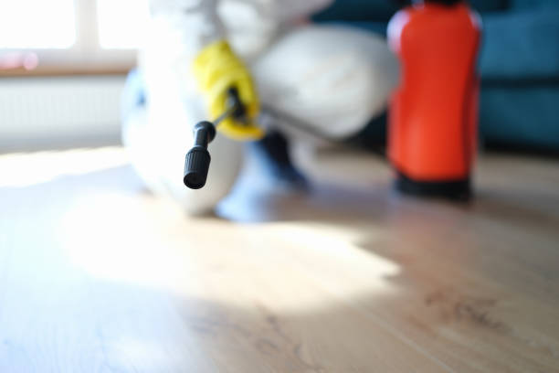 Best Mold Documentation for Insurance Claims  in Paradise, NV