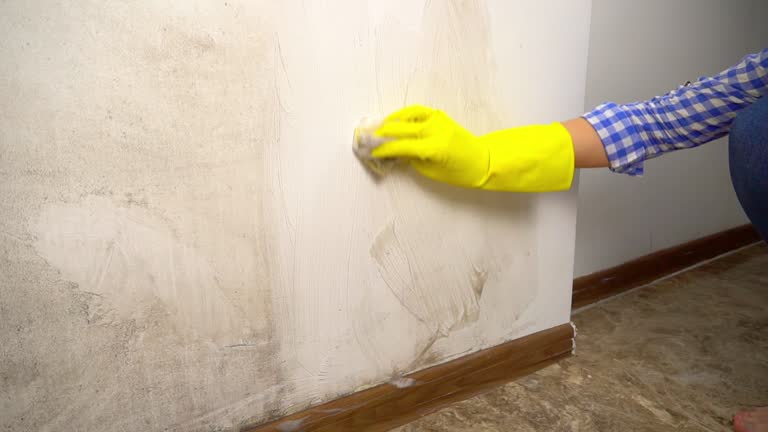 Mold Remediation for Rental Properties in Paradise, NV