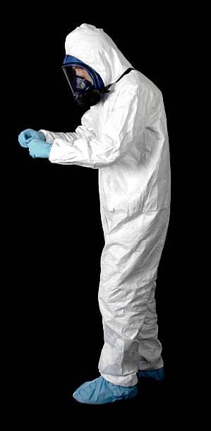 Best Biohazard Mold Removal  in Paradise, NV