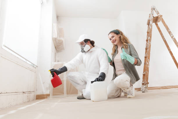 Trusted Paradise, NV Mold Removal Experts